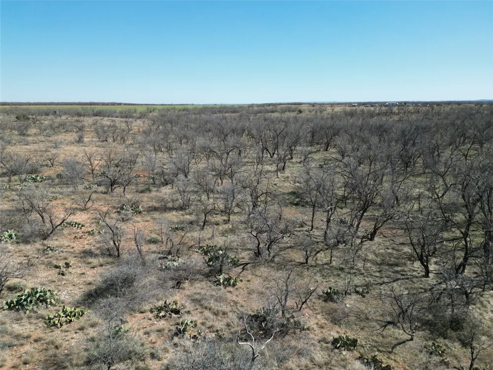 PR off of CR 444 Merkel, TX 79536