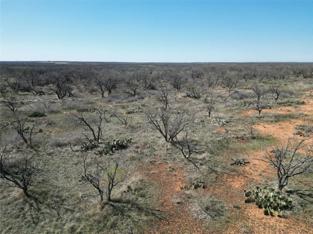 PR off of CR 444 Merkel, TX 79536
