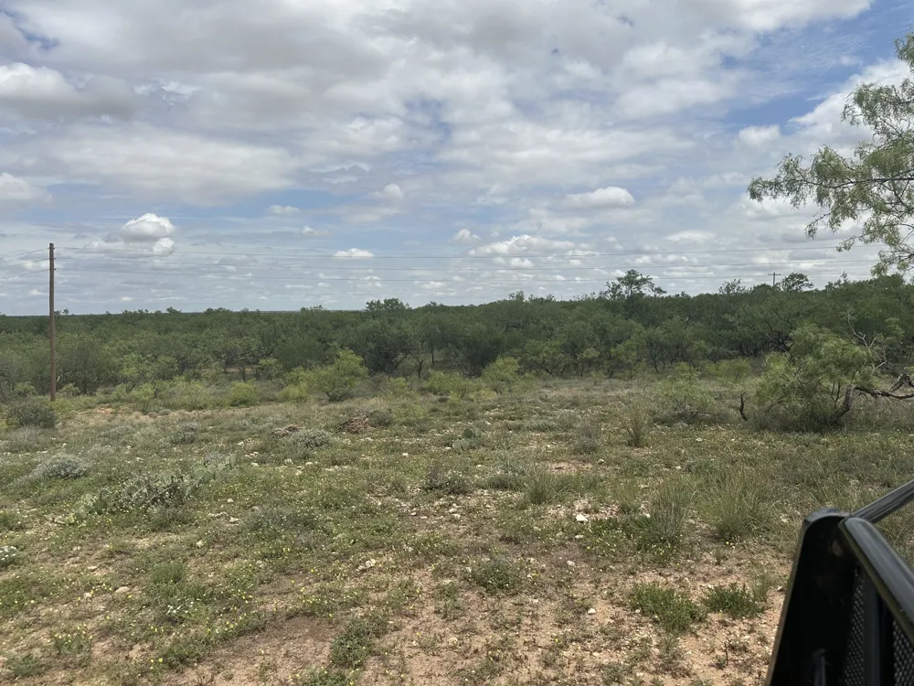 PR off of CR 444 Merkel, TX 79536