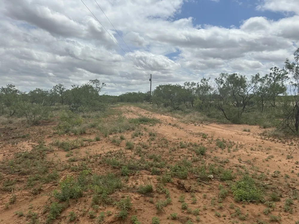 PR off of CR 444 Merkel, TX 79536