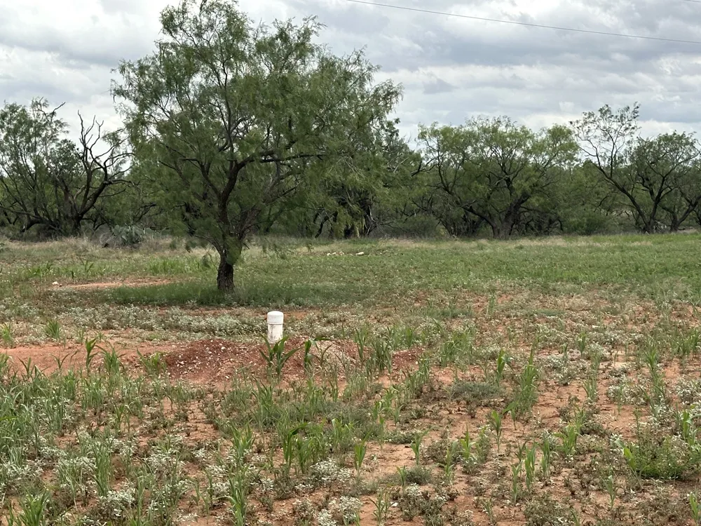 PR off of CR 444 Merkel, TX 79536