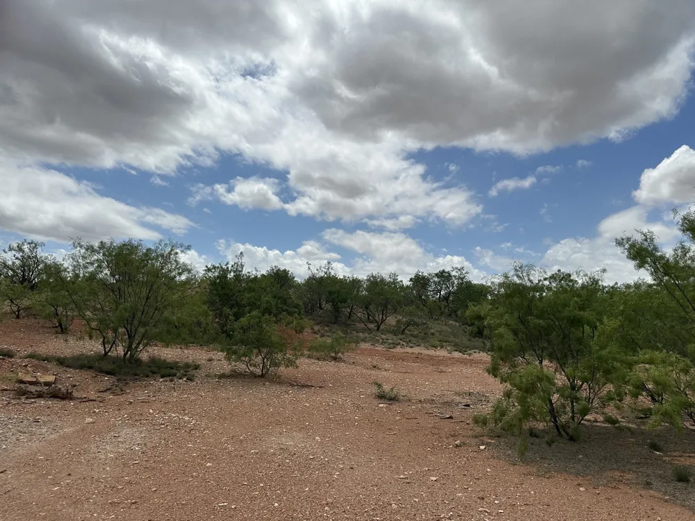 PR off of CR 444 Merkel, TX 79536