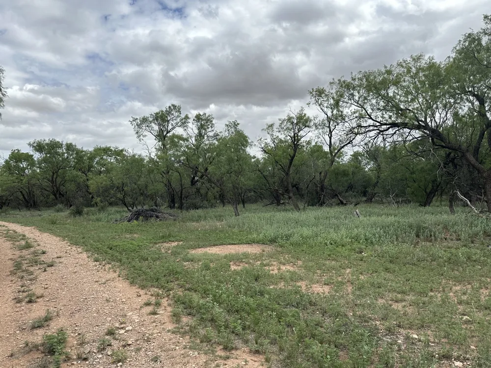 PR off of CR 444 Merkel, TX 79536