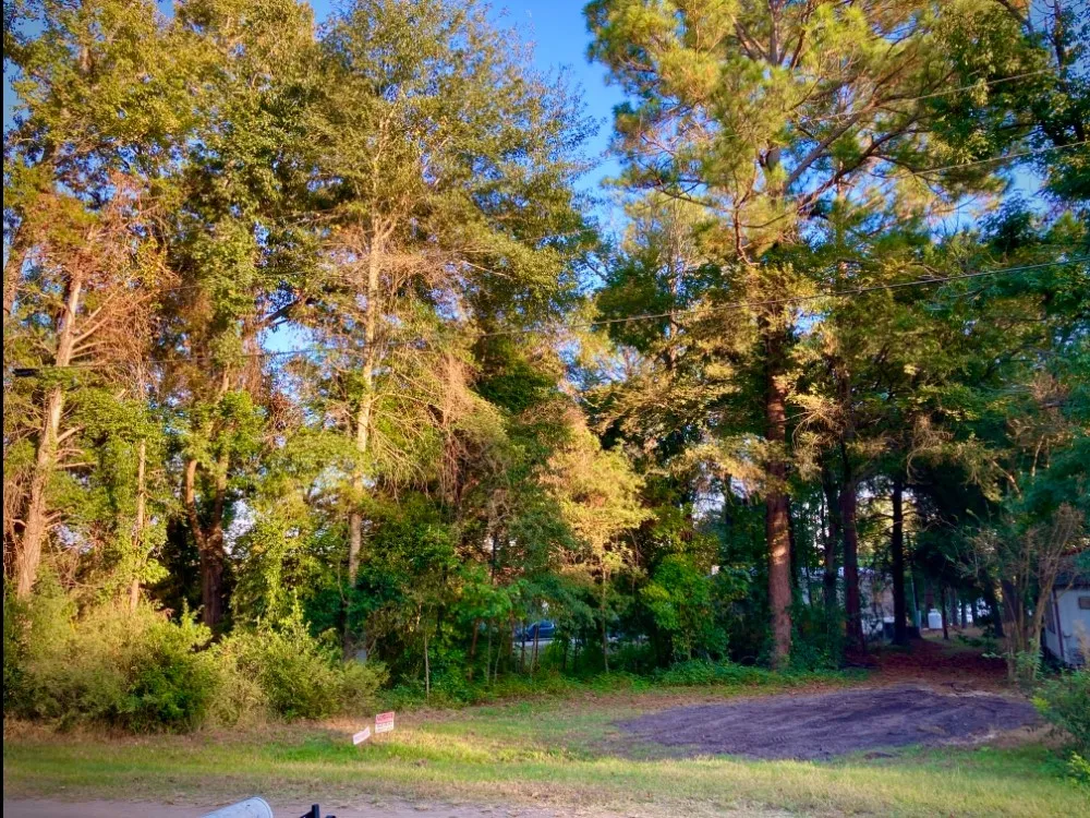 262 E Walnut Trail Murchison, TX 75778