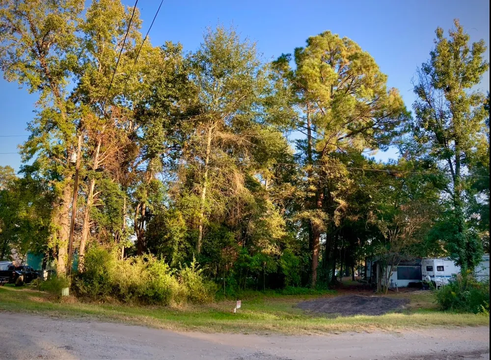 262 E Walnut Trail Murchison, TX 75778