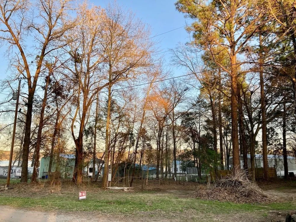 262 E Walnut Trail Murchison, TX 75778