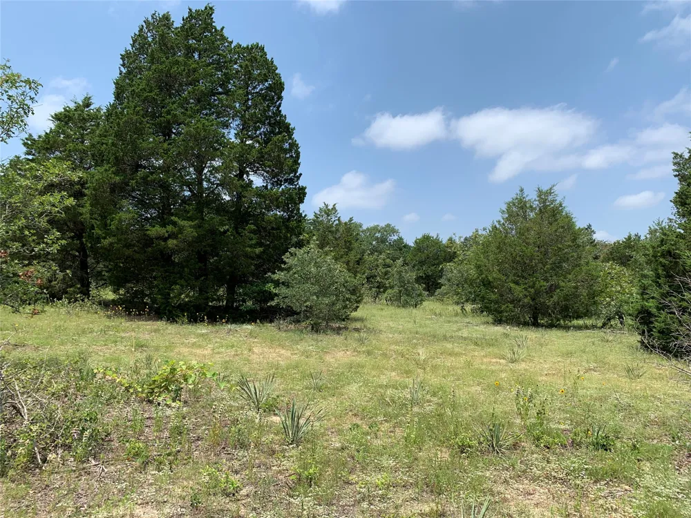 Farm-to-Market 2494 Athens, TX 75751