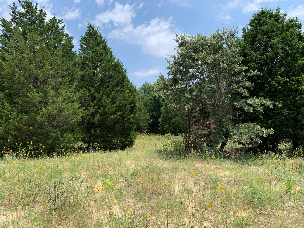 Farm-to-Market 2494 Athens, TX 75751