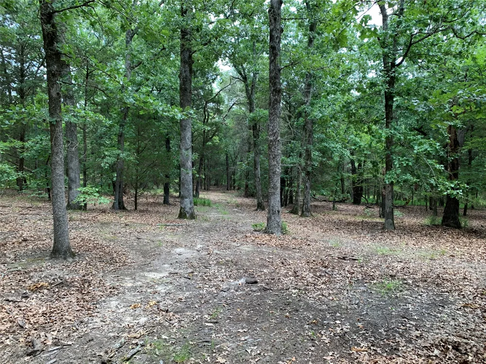 Farm-to-Market 2494 Athens, TX 75751