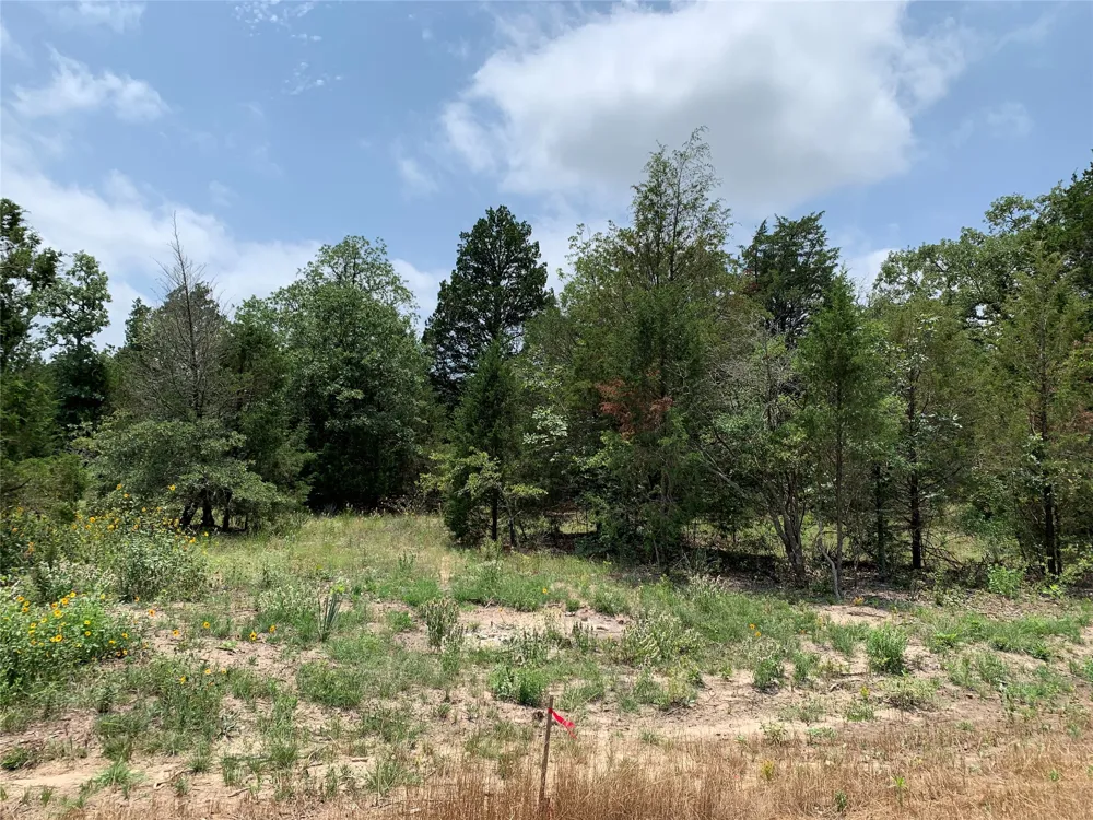 Farm-to-Market 2494 Athens, TX 75751