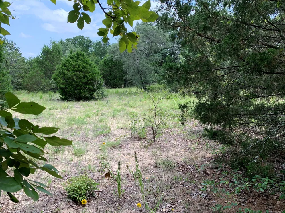 Farm-to-Market 2494 Athens, TX 75751