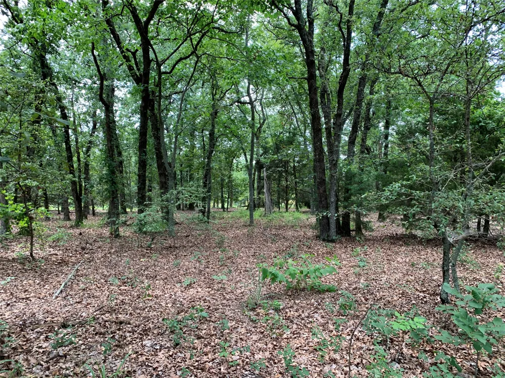 Farm-to-Market 2494 Athens, TX 75751
