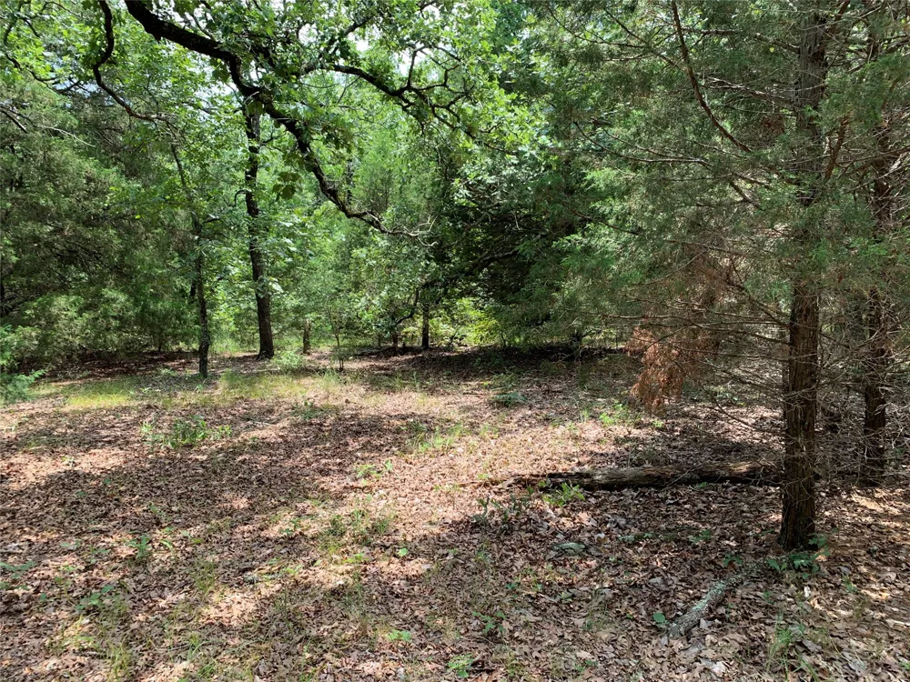Farm-to-Market 2494 Athens, TX 75751
