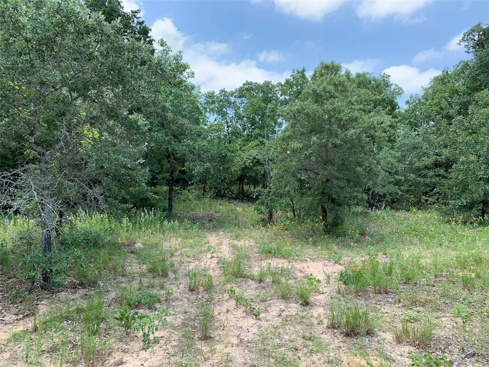 Farm-to-Market 2494 Athens, TX 75751