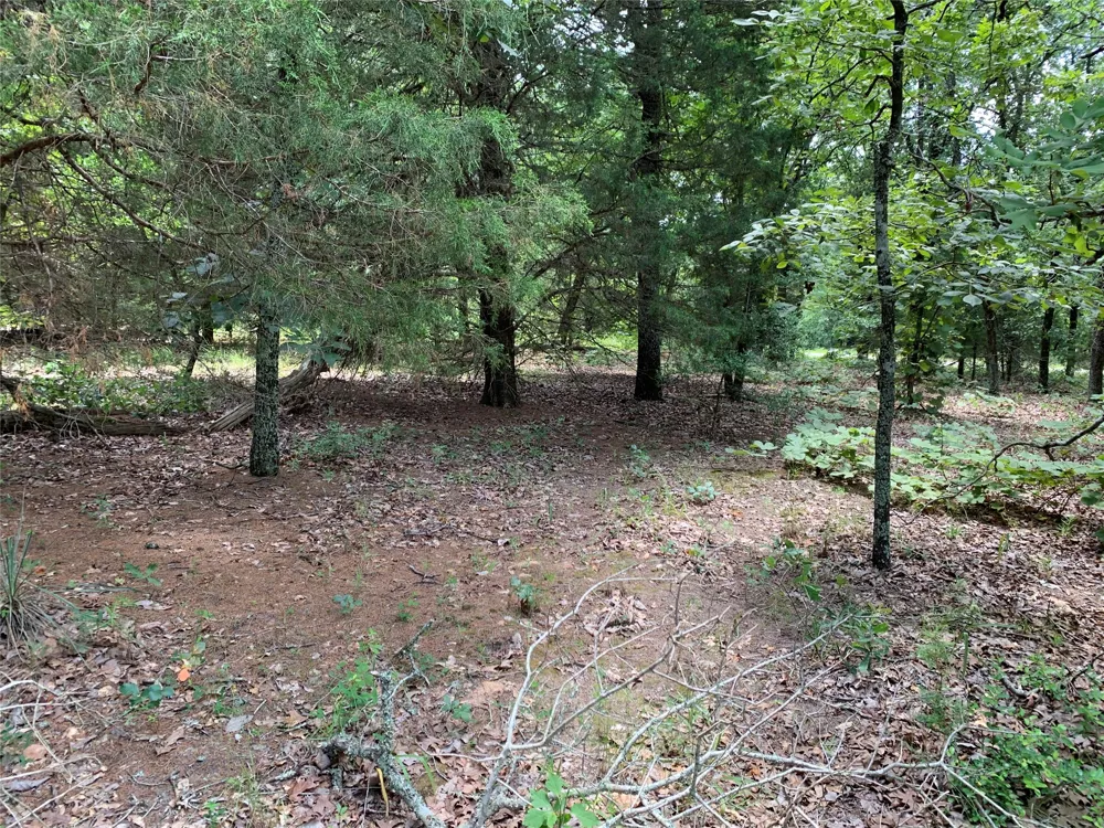 Farm-to-Market 2494 Athens, TX 75751
