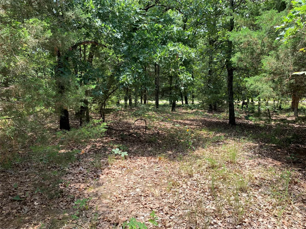 Farm-to-Market 2494 Athens, TX 75751