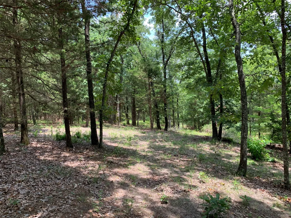 Farm-to-Market 2494 Athens, TX 75751