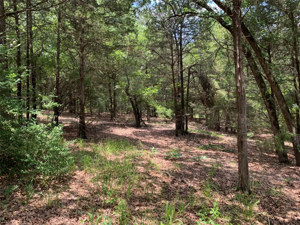 Farm-to-Market 2494 Athens, TX 75751