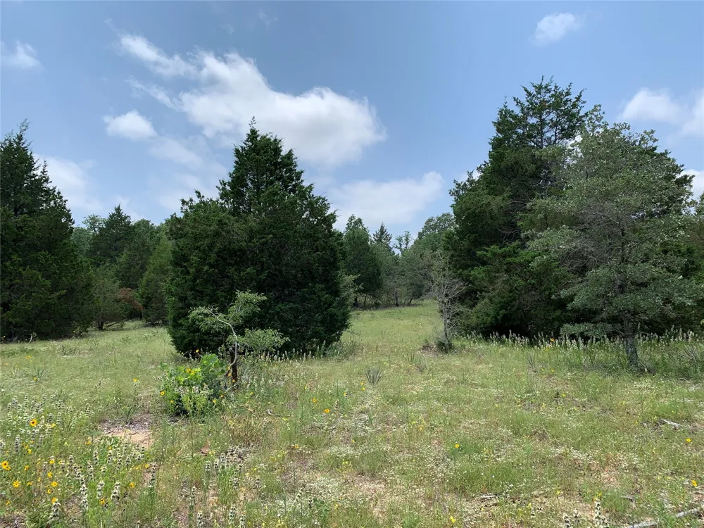 Farm-to-Market 2494 Athens, TX 75751