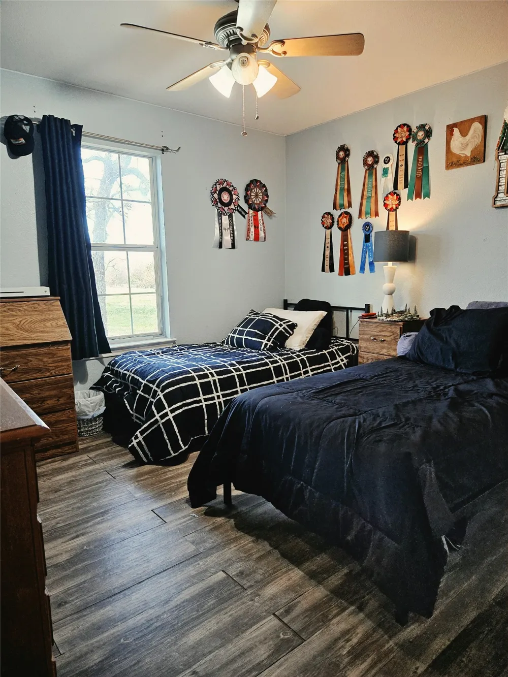 470 Private Road 3650 Paradise, TX 76073