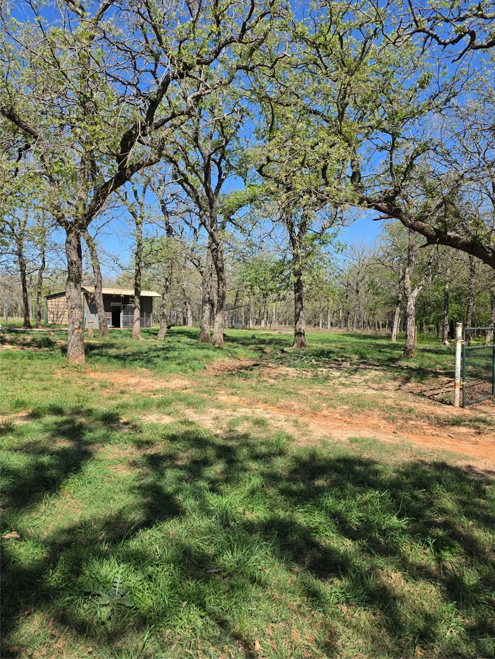 470 Private Road 3650 Paradise, TX 76073