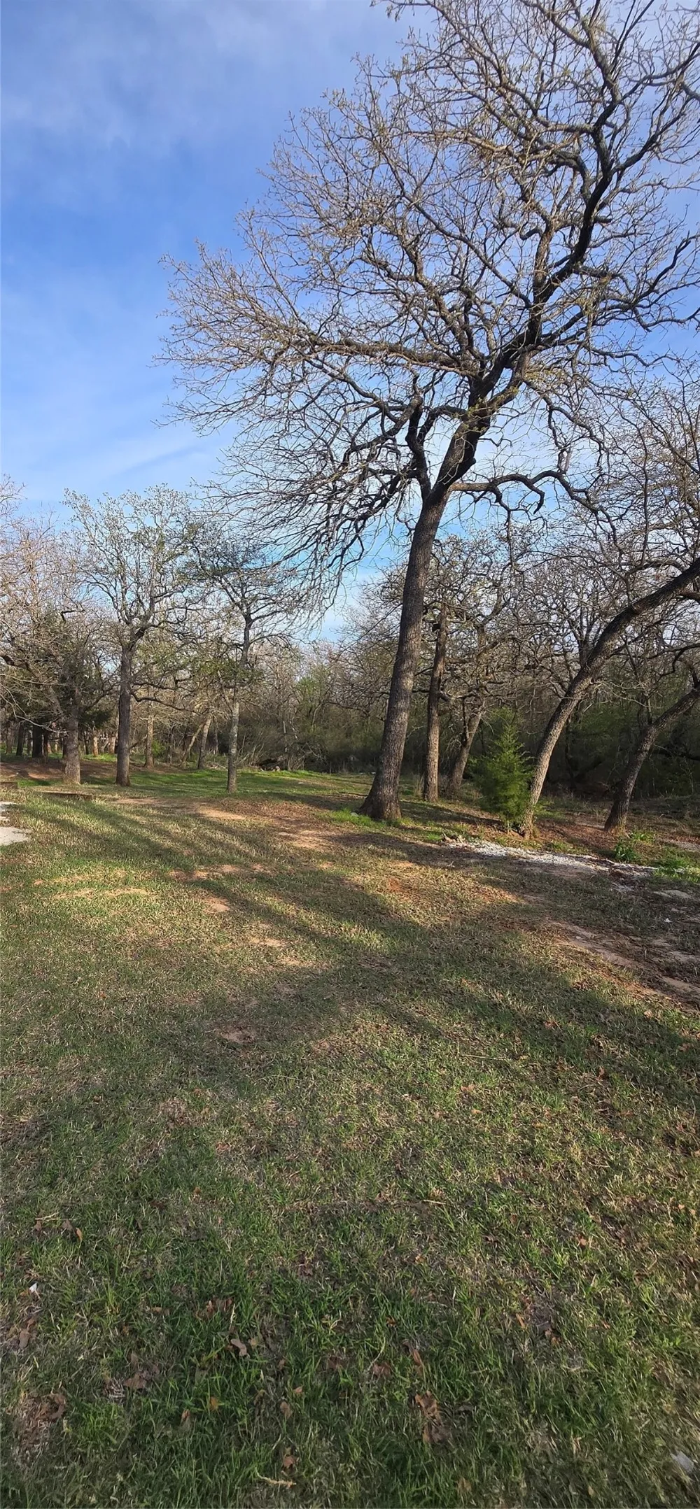 470 Private Road 3650 Paradise, TX 76073