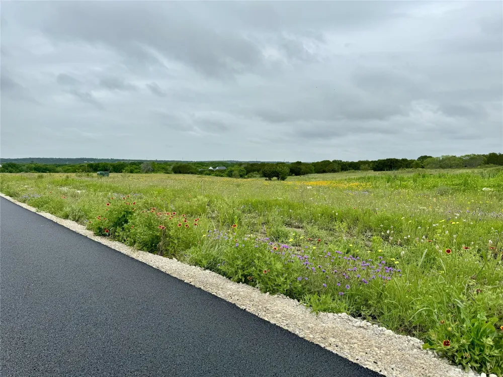 1006 Rana Drive Cresson, TX 76035