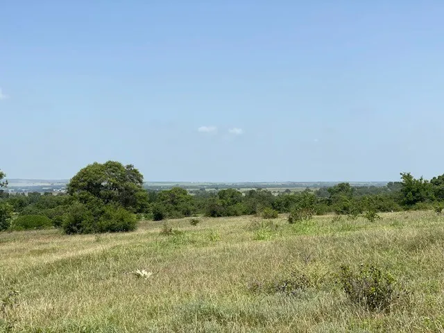 130 CR 242 Indian Gap, TX 76531