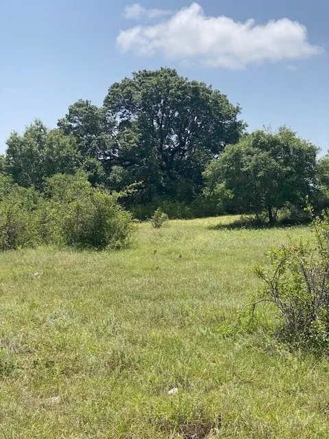130 CR 242 Indian Gap, TX 76531