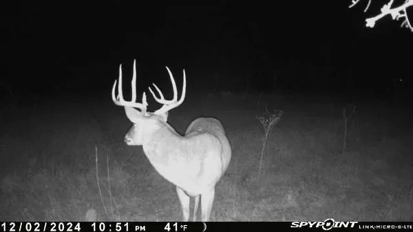 CR 343 ROAD Dublin, TX 76446