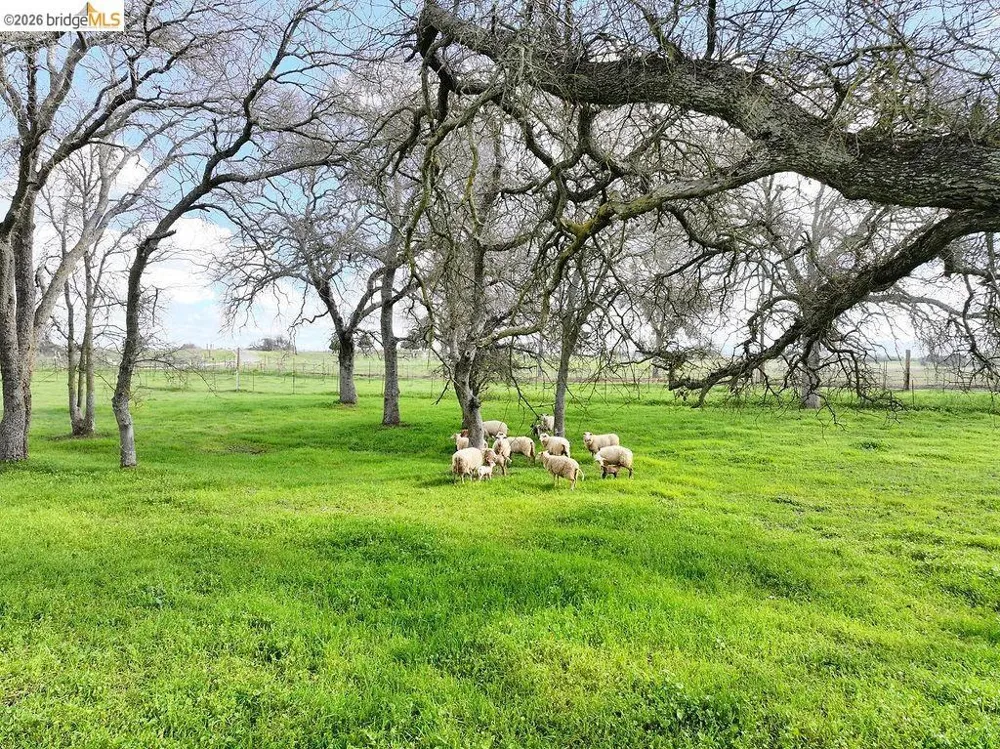 7550 Adams Ave Valley Springs, CA 95252