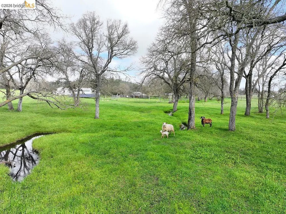 7550 Adams Ave Valley Springs, CA 95252