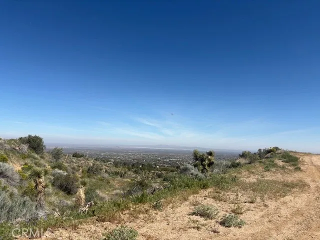 none Pinon Hills, CA 92372