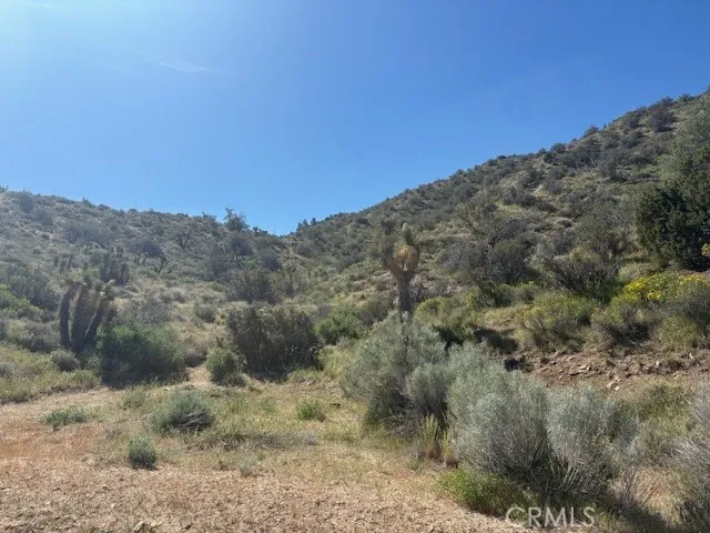 none Pinon Hills, CA 92372