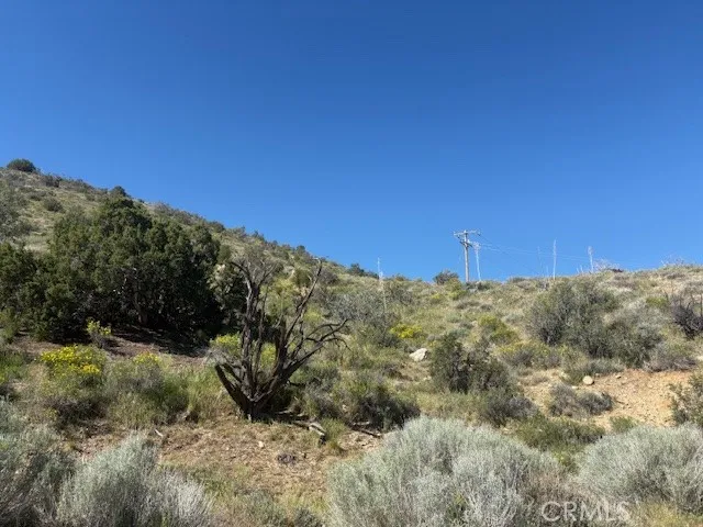 none Pinon Hills, CA 92372