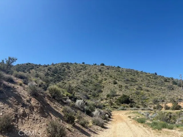 none Pinon Hills, CA 92372