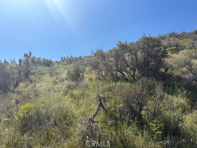 none Pinon Hills, CA 92372