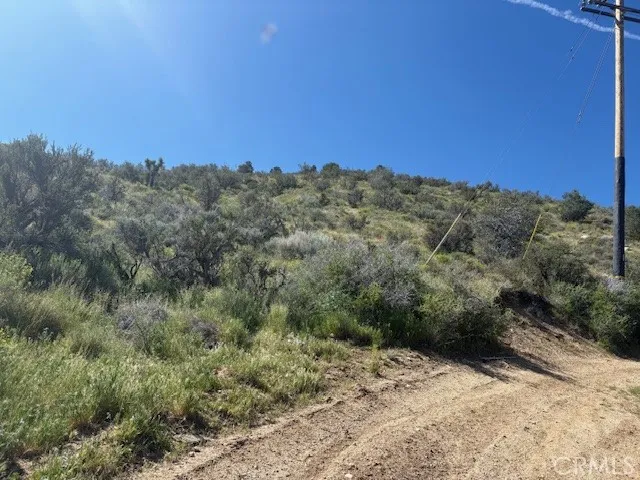 none Pinon Hills, CA 92372