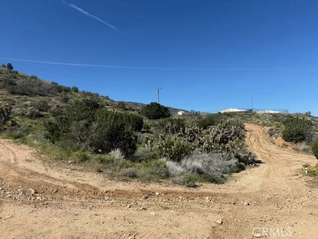 none Pinon Hills, CA 92372