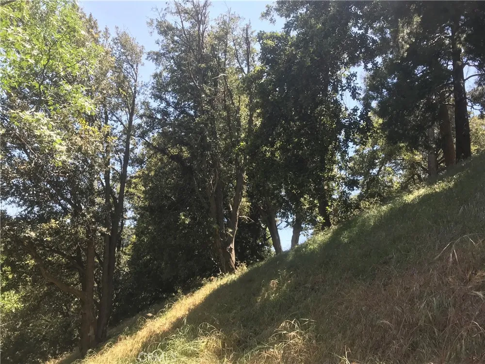 Buck Road Cedarpines Park, CA 92322