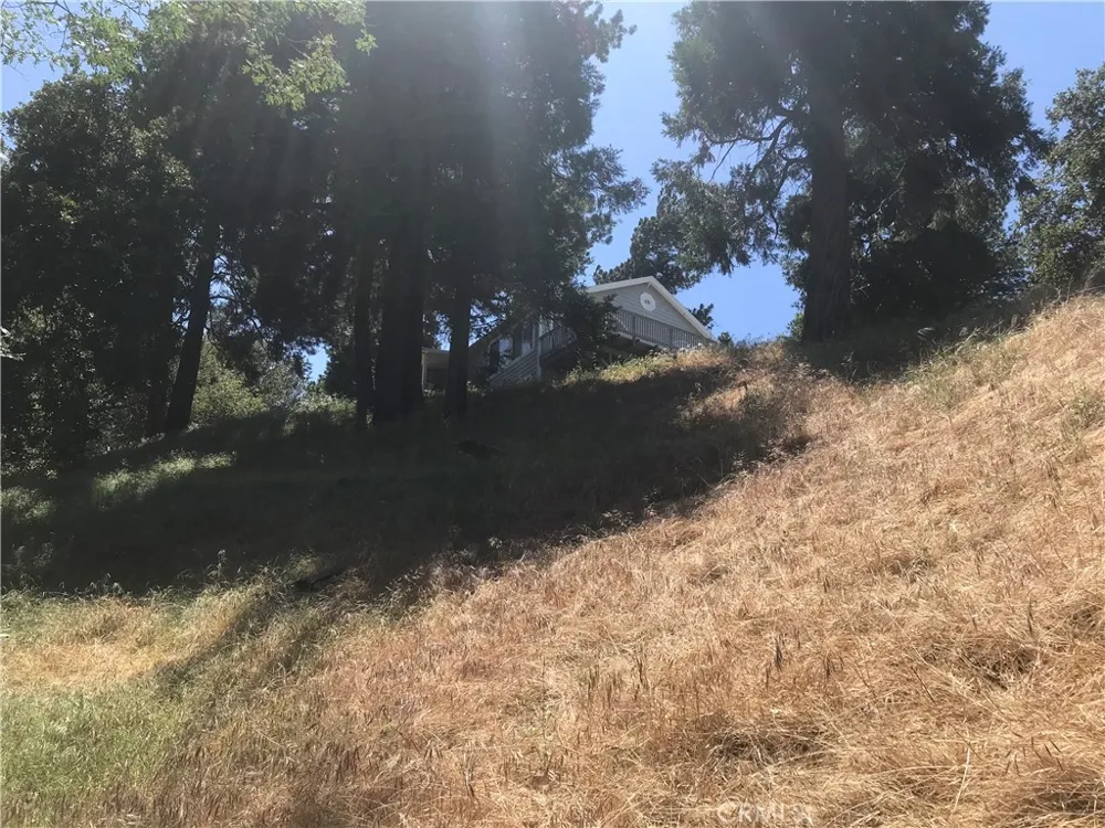Buck Road Cedarpines Park, CA 92322