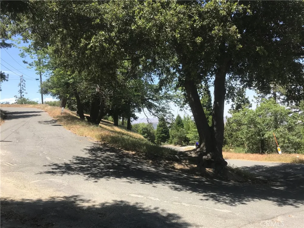 Buck Road Cedarpines Park, CA 92322