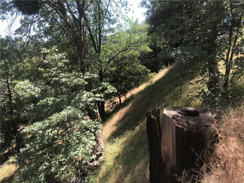 Buck Road Cedarpines Park, CA 92322