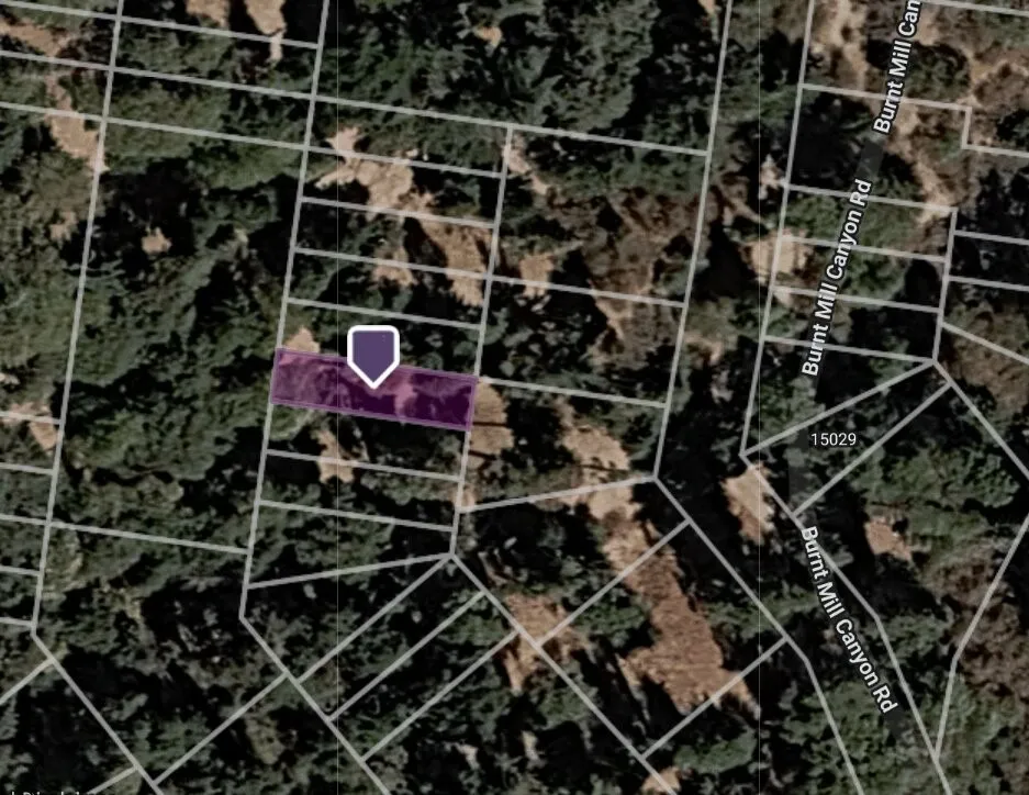 Burnt Mill Canyon Road Cedarpines Park, CA 92322