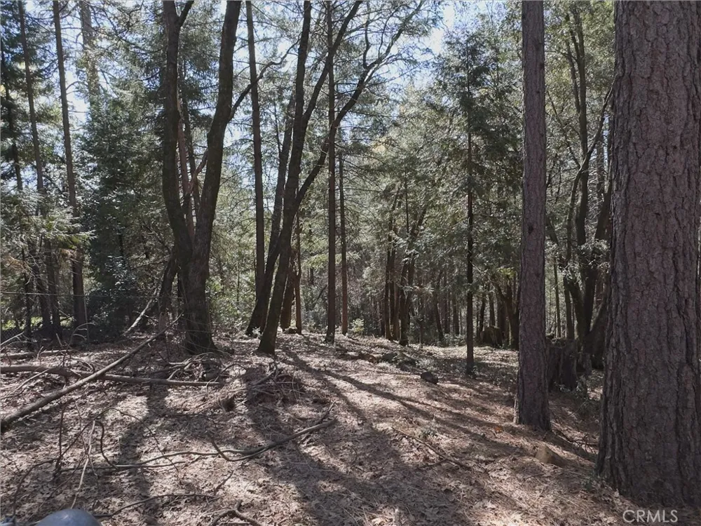 14279 Carnegie Magalia, CA 95954