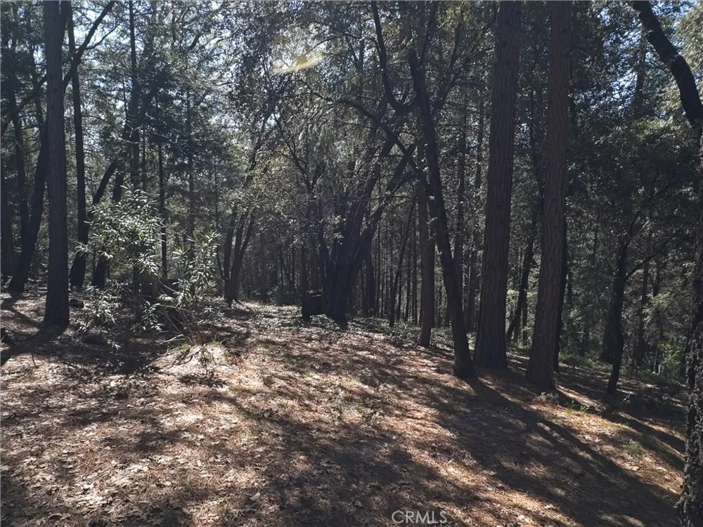 14279 Carnegie Magalia, CA 95954