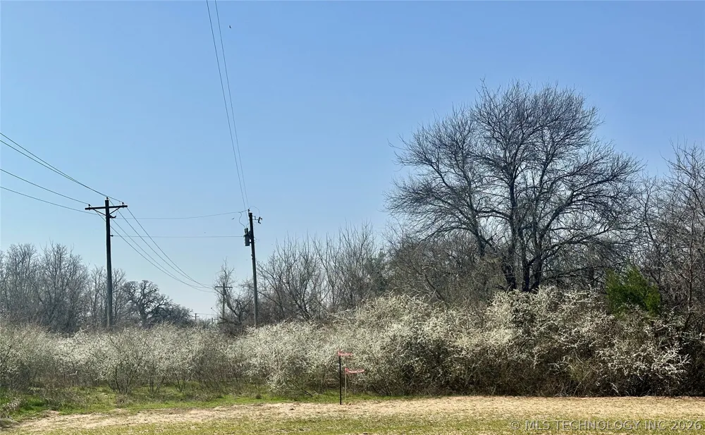 Bellview Street Thackerville, OK 73459