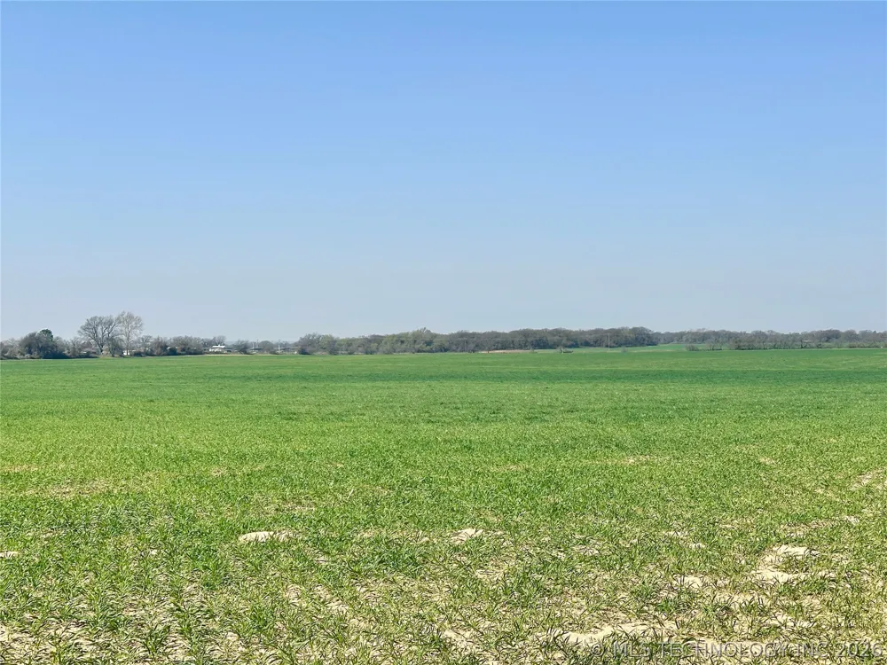 Bellview Street Thackerville, OK 73459