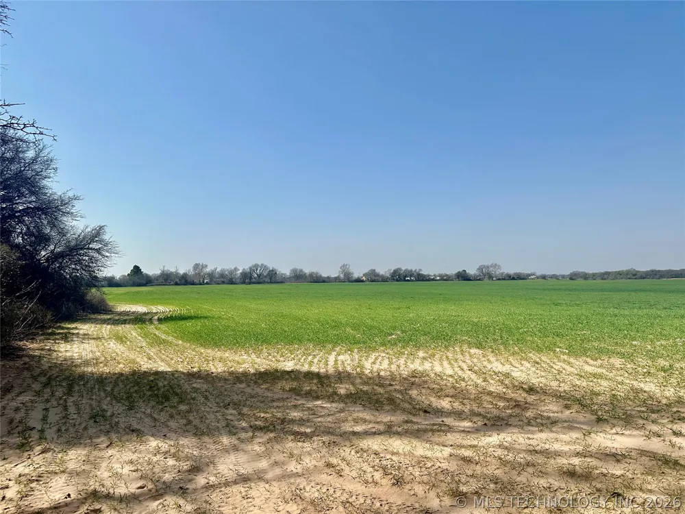 Bellview Street Thackerville, OK 73459