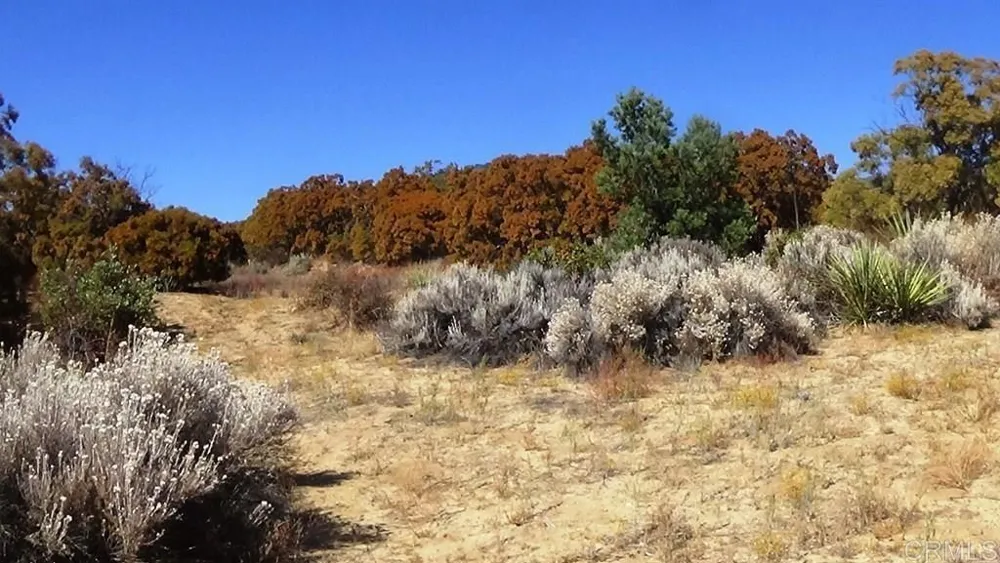 37245 Old Forest Road Anza, CA 92539